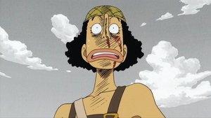 One Piece Episodio 33