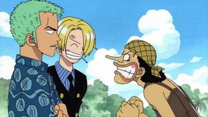 One Piece Episodio 34
