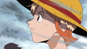 One Piece Episodio 43