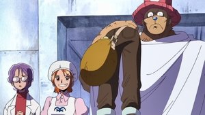 One Piece Episodio 202
