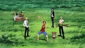 One Piece Episodio 209