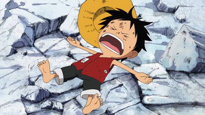One Piece Episodio 306