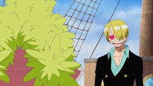 One Piece Episodio 307
