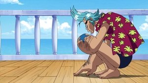One Piece Episodio 324