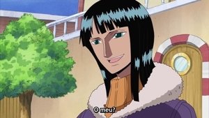 One Piece Episodio 330