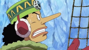 One Piece Episodio 329