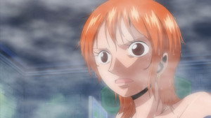 One Piece Episodio 341
