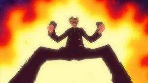 One Piece Episodio 355
