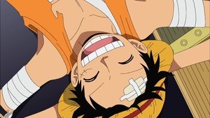One Piece Episodio 381