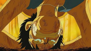 One Piece Episodio 405