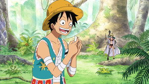 One Piece Episodio 409