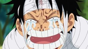One Piece Episodio 491