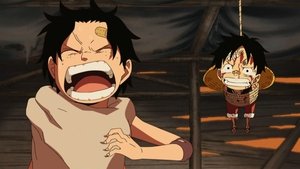 One Piece Episodio 495