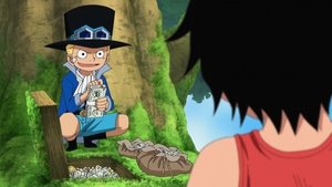 One Piece Episodio 494