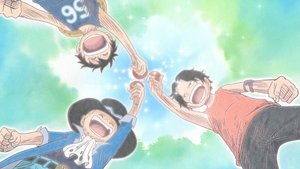 One Piece Episodio 496