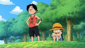 One Piece Episodio 503