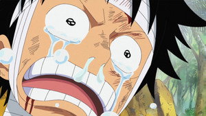 One Piece Episodio 505