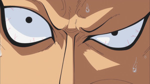 One Piece Episodio 582