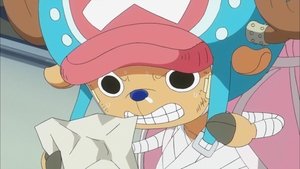 One Piece Episodio 605