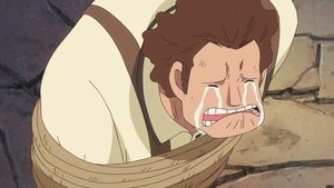 One Piece Episodio 690