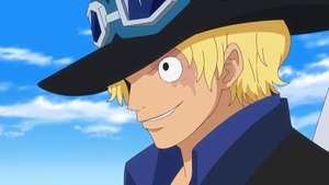 One Piece Episodio 737