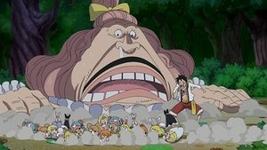 One Piece Episodio 796