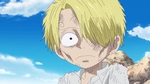 One Piece Episodio 801