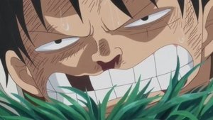 One Piece Episodio 811