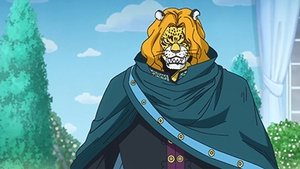 One Piece Episodio 816