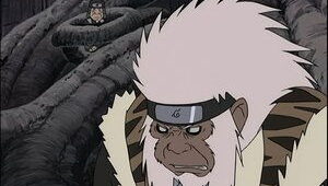 Naruto Clássico Episodio 71