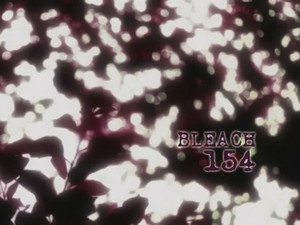 Bleach Episodio 154