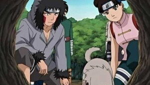 Naruto Clássico Episodio 199
