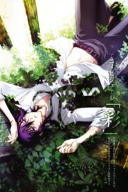Shiki