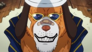 One Piece 21 Episodio 1025