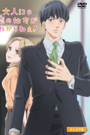 Otona nya Koi no Shikata ga Wakaranee!