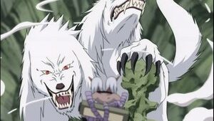 Naruto Clássico Episodio 120