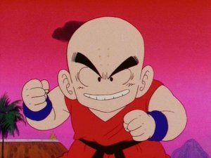 Dragon Ball Episodio 96