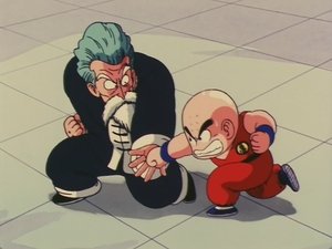 Dragon Ball Episodio 24