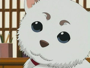 Gintama Episodio 10
