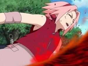 Naruto Shippuden Episodio 43