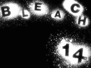 Bleach Episodio 14