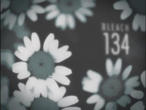 Bleach Episodio 134