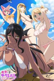 Chotto dake Ai ga Omoi Dark Elf ga Isekai kara Oikakete Kita
