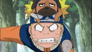 Naruto Clássico Episodio 144