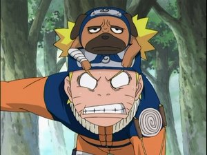 Naruto Clássico Episodio 144