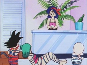 Dragon Ball Episodio 55