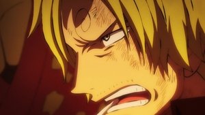 One Piece 21 Episodio 1046