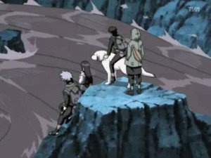 Naruto Shippuden Episodio 91