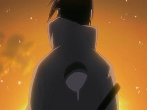 Naruto Shippuden Episodio 141
