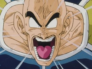 Dragon Ball Z Episodio 26